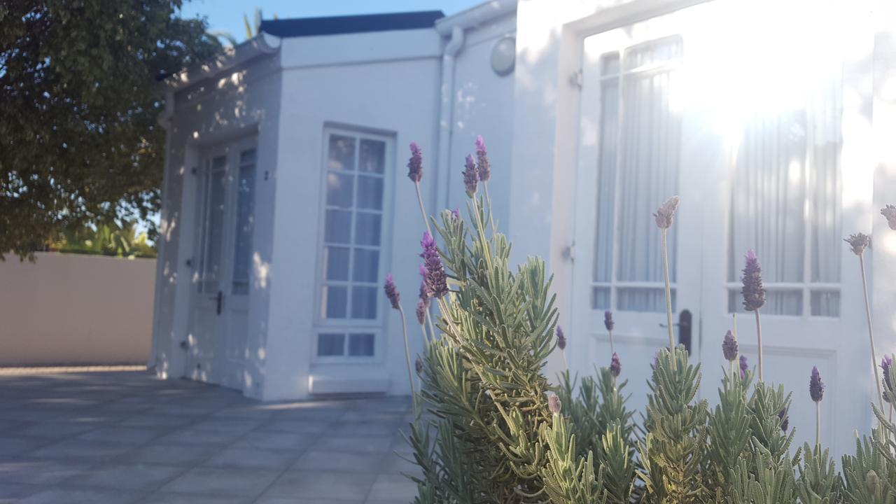 Blu Bed & Breakfast Port Elizabeth Dış mekan fotoğraf