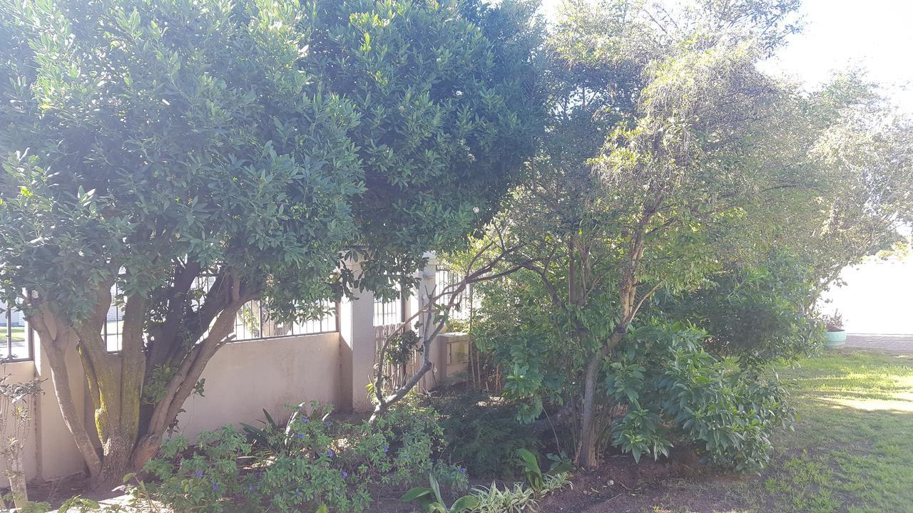 Blu Bed & Breakfast Port Elizabeth Dış mekan fotoğraf