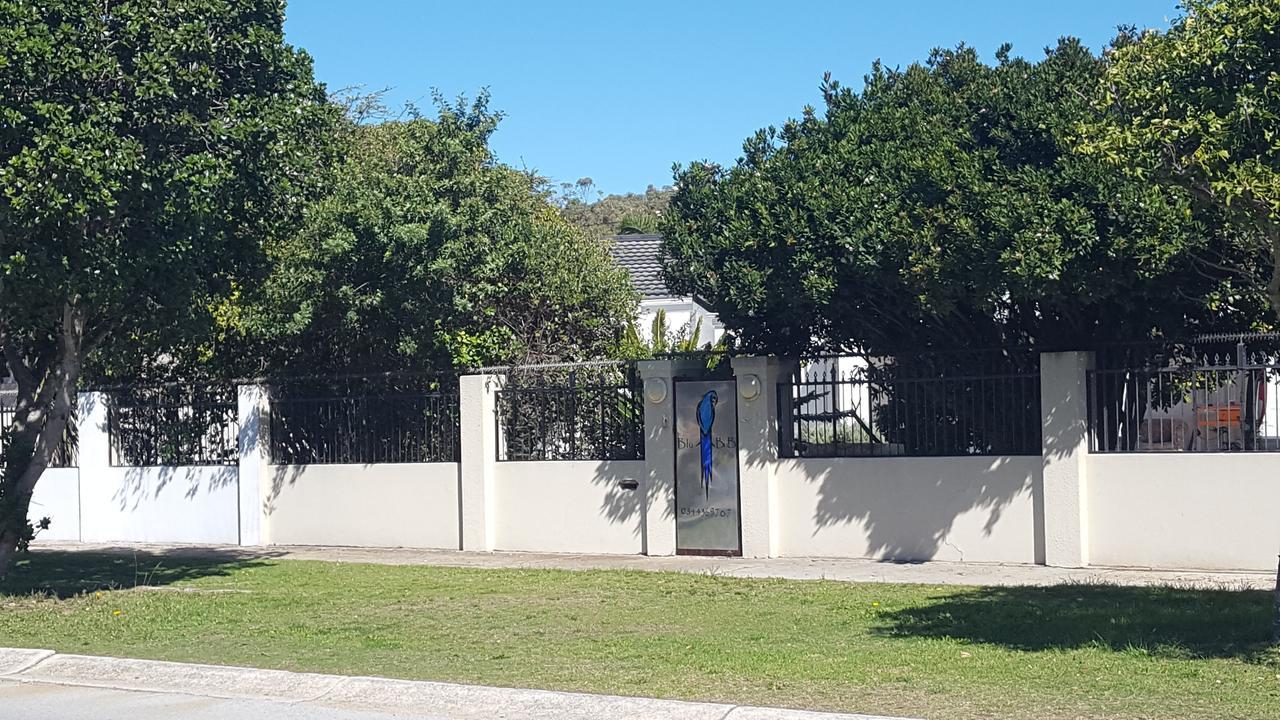 Blu Bed & Breakfast Port Elizabeth Dış mekan fotoğraf